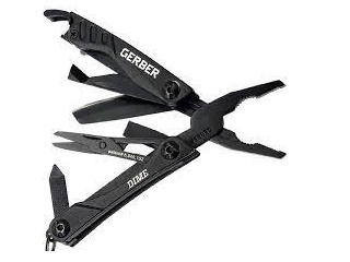 013658125551_gerbermulti.jpg
