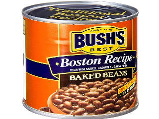 1954_bushboston.png