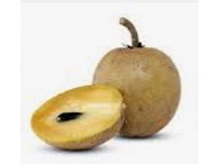 4241_sapodilla.jpg
