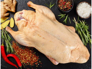 4314_duckmuscovy.jpg