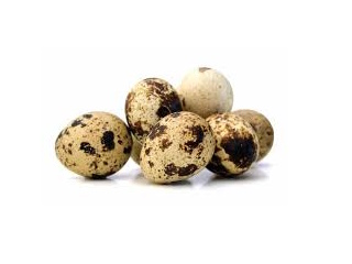 4697014621_quaileggs.jpg