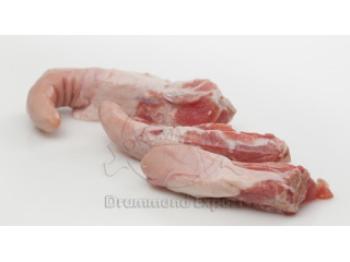 5101_pigtailregular.jpg