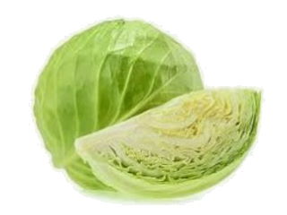 5771_cabbage.jpg