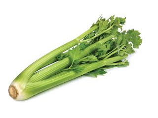 605806000317_importedcelery.jpg