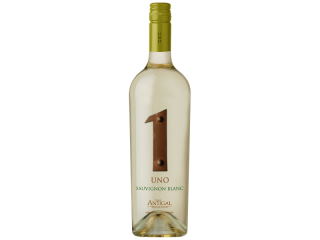874390002087_winemendozablanc.jpg